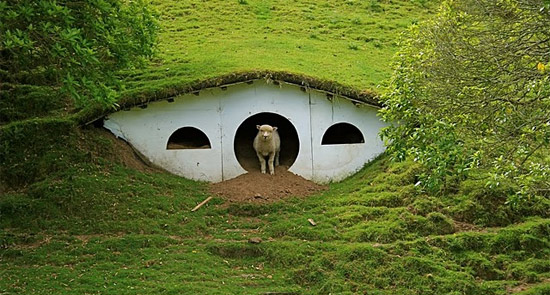 Οι νέοι κάτοικοι του Hobbiton